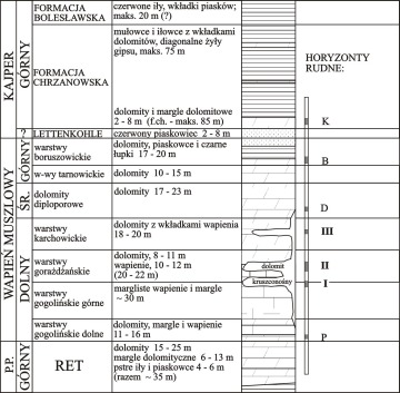 Stratygrafia, litologia i okruszcowanie utworów triasu w okolicach Chrzanowa.