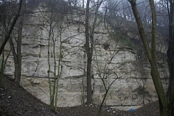 Gruboławicowy dolomit diploporowy na ścianie kamieniołomu