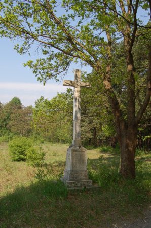 Krzyż przy ul. Borowcowej - kamienny, czterometrowy, wykuty w piaskowcu, ufundowany przez Tomasza Krzemienia z żoną w 1880 roku. 